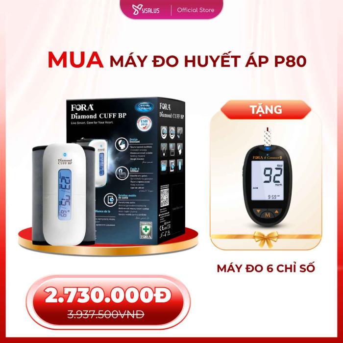 mua-may-do-huyet-ap-p80-tang-may-do-6